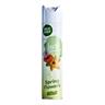 Insette Air Freshener Spring Flowers 12 x 330ml