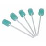 Oral Swabs Pkt 250