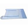Bib Disposable - Case 500  (RSC602)